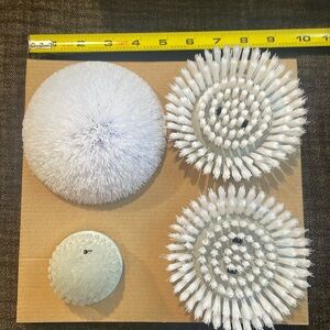 Set of Four Scrub Brushes